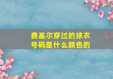 费基尔穿过的球衣号码是什么颜色的