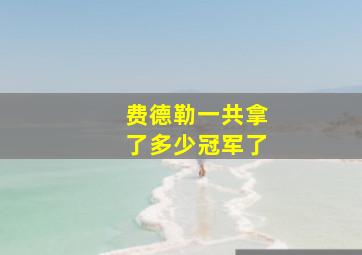 费德勒一共拿了多少冠军了