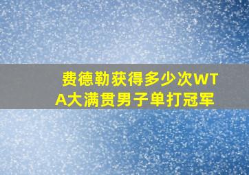 费德勒获得多少次WTA大满贯男子单打冠军