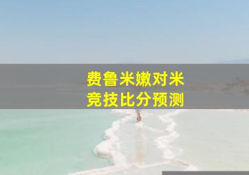 费鲁米嫩对米竞技比分预测