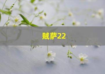 贼萨22