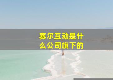 赛尔互动是什么公司旗下的