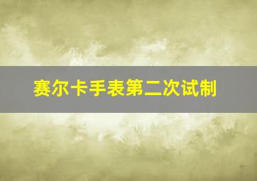 赛尔卡手表第二次试制