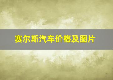 赛尔斯汽车价格及图片