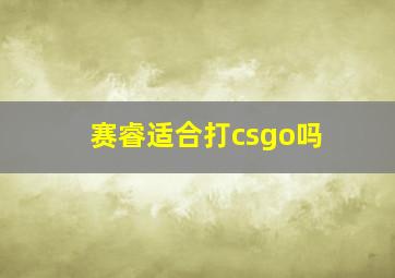 赛睿适合打csgo吗