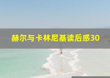 赫尔与卡林尼基读后感30