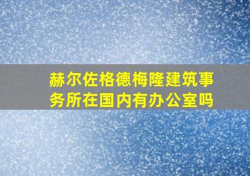 赫尔佐格德梅隆建筑事务所在国内有办公室吗