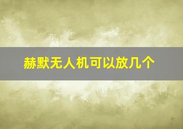 赫默无人机可以放几个