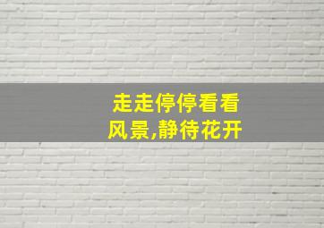 走走停停看看风景,静待花开