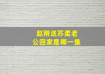 赵刚送苏柔老公回家是哪一集