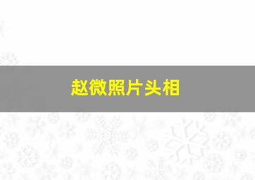 赵微照片头相