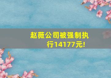 赵薇公司被强制执行14177元!