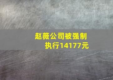 赵薇公司被强制执行14177元