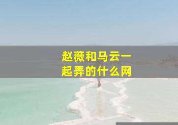 赵薇和马云一起弄的什么网