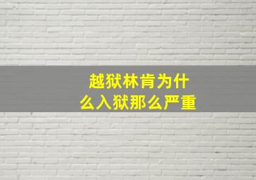 越狱林肯为什么入狱那么严重