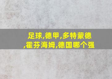 足球,德甲,多特蒙德,霍芬海姆,德国哪个强