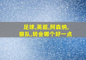 足球,英超,阿森纳,狼队,转会哪个好一点