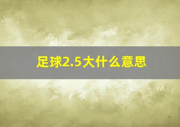 足球2.5大什么意思