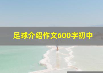 足球介绍作文600字初中