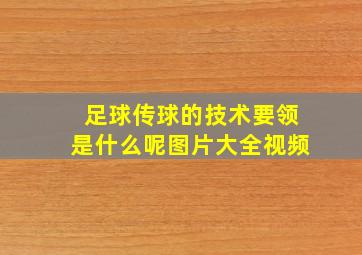 足球传球的技术要领是什么呢图片大全视频