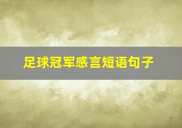 足球冠军感言短语句子