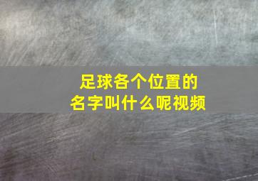 足球各个位置的名字叫什么呢视频