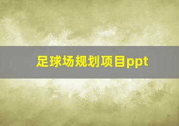 足球场规划项目ppt