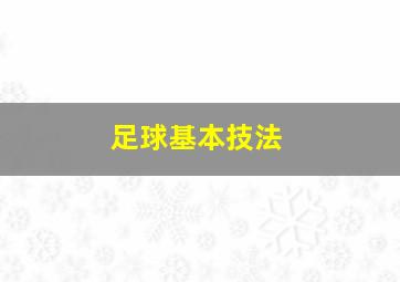 足球基本技法