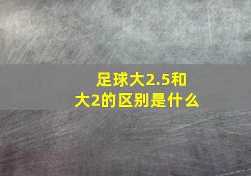 足球大2.5和大2的区别是什么