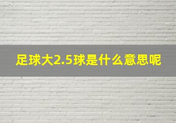 足球大2.5球是什么意思呢