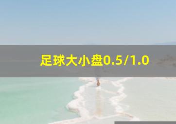 足球大小盘0.5/1.0