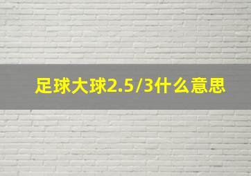 足球大球2.5/3什么意思