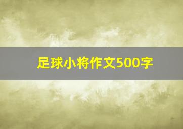 足球小将作文500字