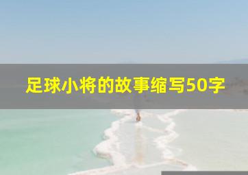 足球小将的故事缩写50字