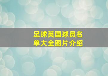 足球英国球员名单大全图片介绍