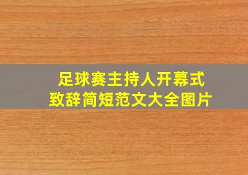 足球赛主持人开幕式致辞简短范文大全图片