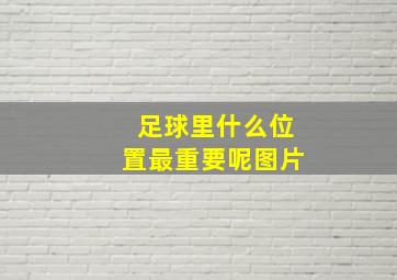 足球里什么位置最重要呢图片