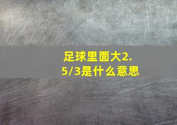 足球里面大2.5/3是什么意思