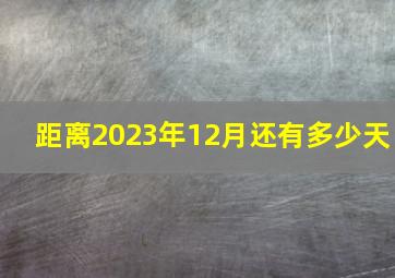 距离2023年12月还有多少天