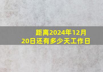 距离2024年12月20日还有多少天工作日