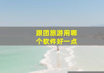 跟团旅游用哪个软件好一点