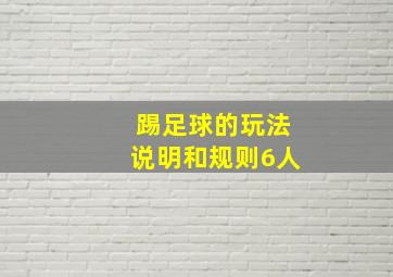 踢足球的玩法说明和规则6人