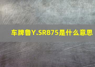 车牌鲁Y.SR875是什么意思