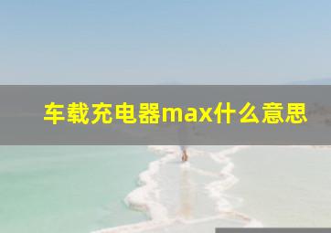 车载充电器max什么意思