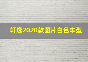 轩逸2020款图片白色车型