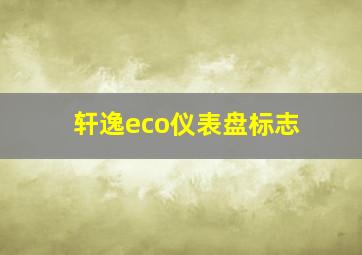 轩逸eco仪表盘标志