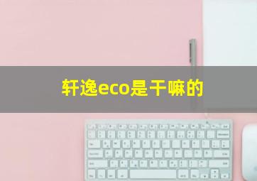 轩逸eco是干嘛的