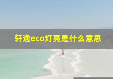 轩逸eco灯亮是什么意思