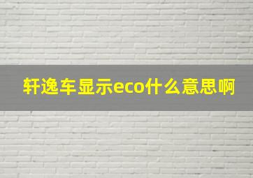 轩逸车显示eco什么意思啊