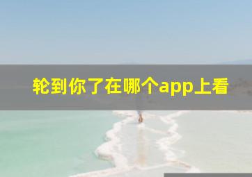 轮到你了在哪个app上看